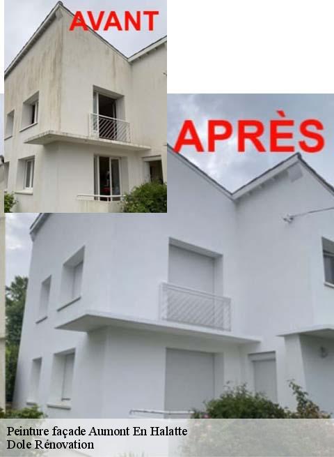 Peinture façade  aumont-en-halatte-60300 Dole Rénovation