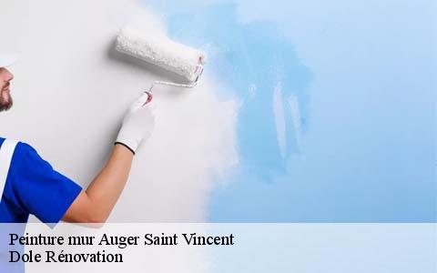 Peinture mur  60800