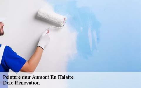 Peinture mur  60300