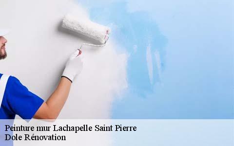 Peinture mur  60730