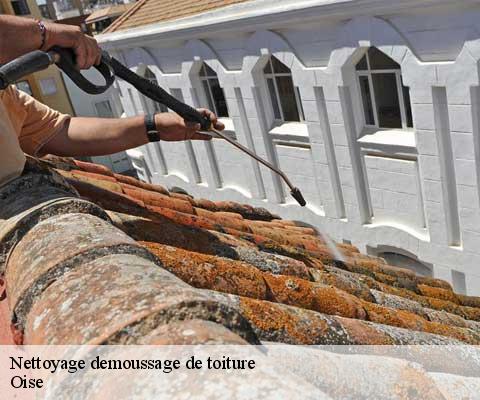 Nettoyage demoussage de toiture Oise 