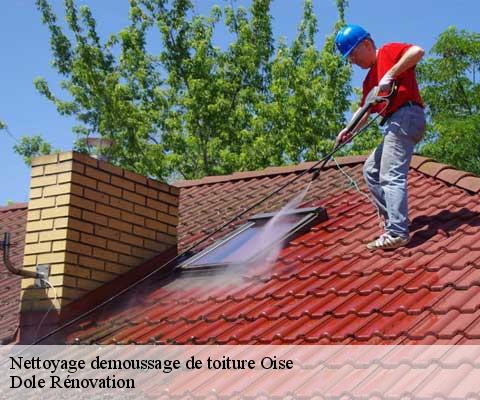 Nettoyage demoussage de toiture Oise 