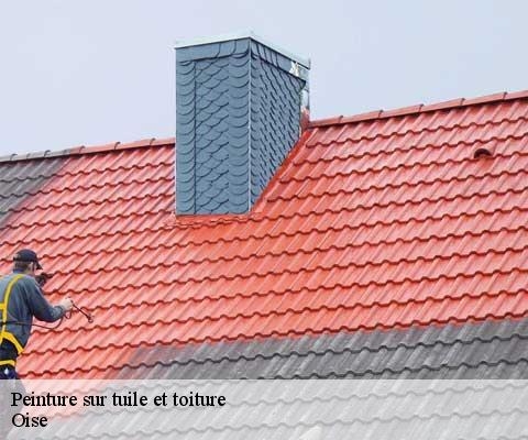 Peinture sur tuile et toiture