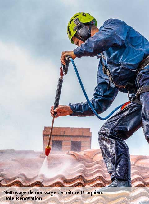 Nettoyage demoussage de toiture  broquiers-60220 Dole Rénovation