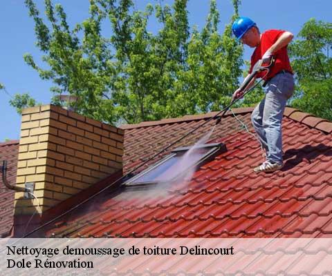 Nettoyage demoussage de toiture  60240