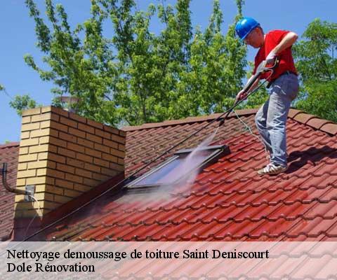 Nettoyage demoussage de toiture  60380