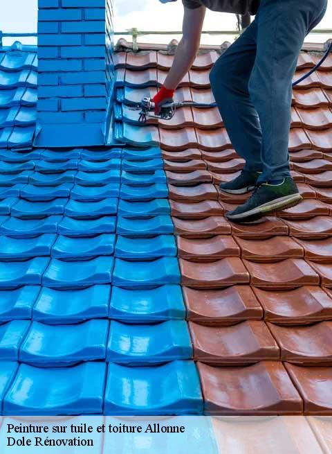Peinture sur tuile et toiture  allonne-60000 Dole Rénovation