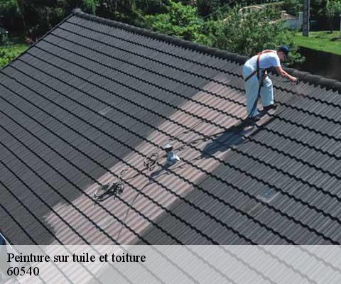 Peinture sur tuile et toiture  60540