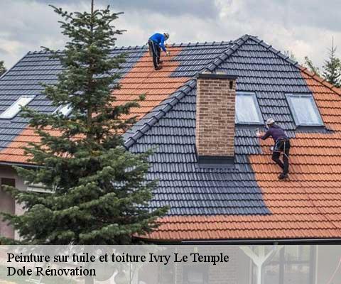 Peinture sur tuile et toiture  60173