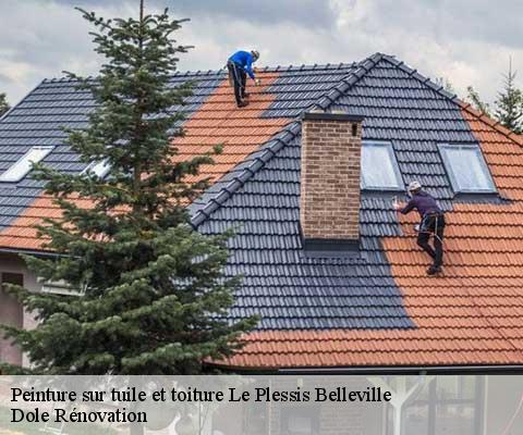 Peinture sur tuile et toiture  60330