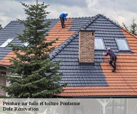 Peinture sur tuile et toiture  60520