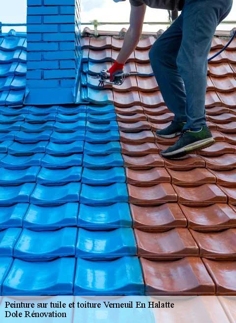Peinture sur tuile et toiture  verneuil-en-halatte-60550 Dole Rénovation