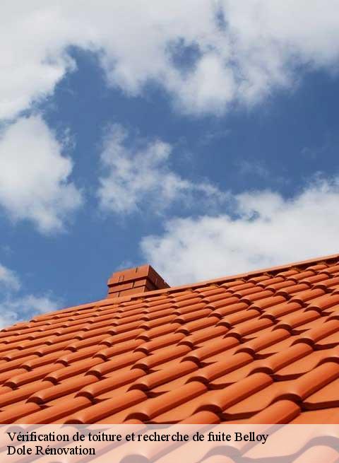 Vérification de toiture et recherche de fuite  belloy-60490 Dole Rénovation